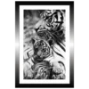 TABLEAU 20X30CM BAGUETTE NOIRE TIGRE