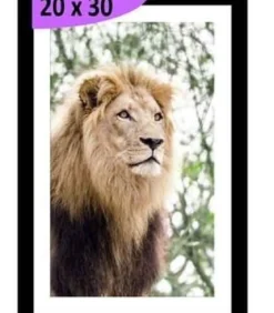 TABLEAU 20X30CM BAGUETTE NOIR MAT LION