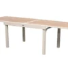 TABLE PIAZZA EXTENSIBLE VERRE IMPRIME ARGILE 10 PLACES
