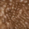TABOURET CERF