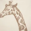 TAPIS GIRAFE FRANGES D.100X150CM