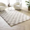 TAPIS RECTANGLE 160X230CM SHAGGY DAMERO