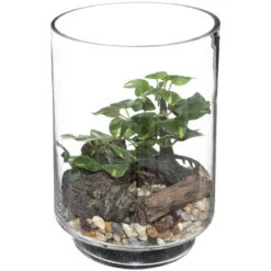 TERRARIUM BONSAI H.19CM