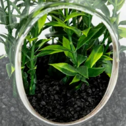TERRARIUM PLANTE A SUSPENDRE NALY H.15CM
