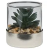 TERRARIUM PLANTE SKY H.8.5CM