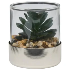 TERRARIUM PLANTE SKY H.8.5CM