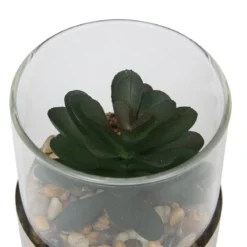 TERRARIUM PLANTE SKY H.8.5CM