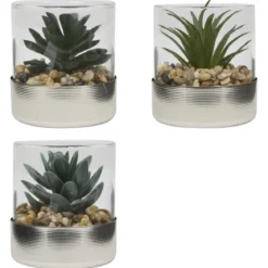 TERRARIUM PLANTE SKY H.8.5CM