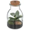 TERRARIUM VERRE BOTANIC H.19CM