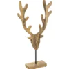 TETE CERF MANGUIER WILD