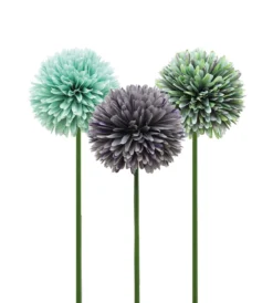 TIGE ALLIUM H.62CM