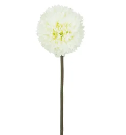 TIGE ALLIUM H63CM BLANC