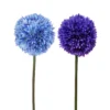 TIGE ALLIUM H.63CM BLEU
