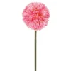 TIGE ALLIUM H63CM ROSE