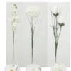 TIGE BLANCHES GERBERA ORCHIDEES ZINNIA ET ROSE