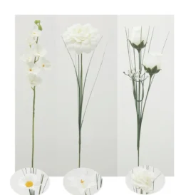 TIGE BLANCHES GERBERA ORCHIDEES ZINNIA ET ROSE
