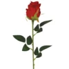 TIGE BOUTON DE ROSE H77CM ROUGE
