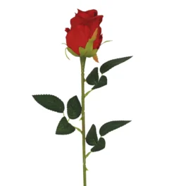 TIGE BOUTON DE ROSE H77CM ROUGE