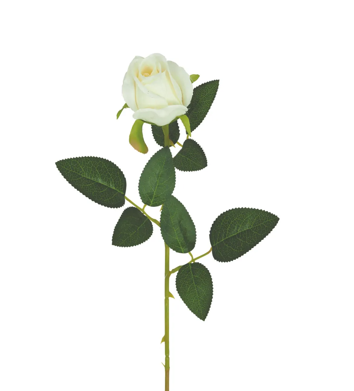TIGE BOUTON ROSE H.63CM BLANC