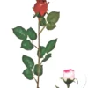 TIGE BOUTON ROSE H77CM ROSE