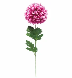 TIGE CHRYSANTHEME H.68CM FUSCHIA