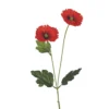 TIGE COQUELICOT H.60CM ROUGE