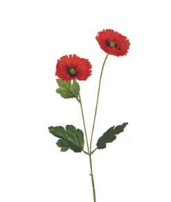 TIGE COQUELICOT H.60CM ROUGE