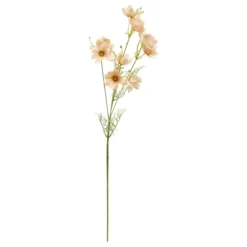 TIGE COREOPSIS PHOEBE H.88CM