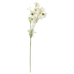 TIGE COREOPSIS PHOEBE H.88CM