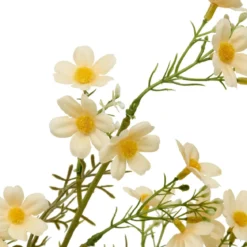 TIGE COSMOS PHOEBE H.62CM