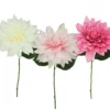 TIGE DAHLIA H.80CM BLANC ET ROSE