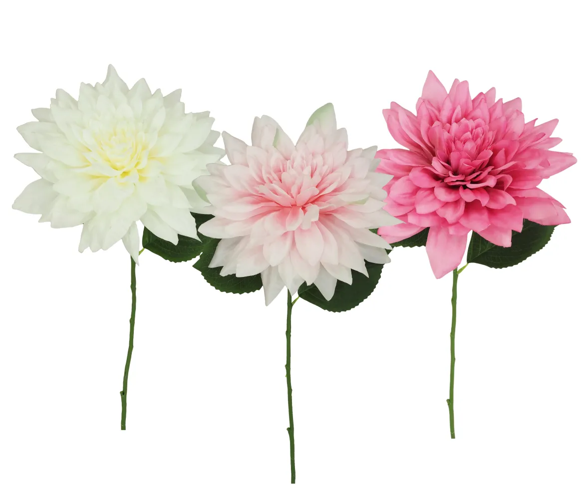 TIGE DAHLIA H.80CM BLANC ET ROSE