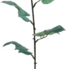 TIGE DE BOUTON DE ROSE H.77CM SAUMON