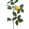 TIGE DE CITRONNIER 3 CITRONS H72CM