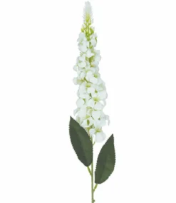 TIGE DELPHINIUM 28 FLEURS H.74CM BLANC