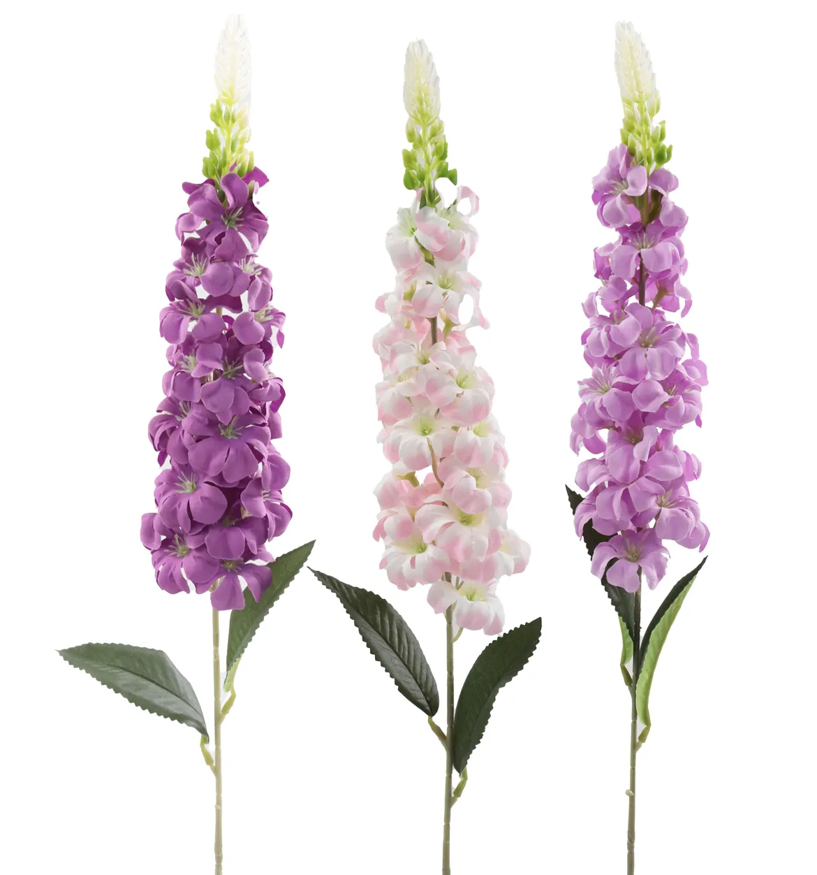 TIGE DELPHINIUM 28 FLEURS H.74CM ROSE
