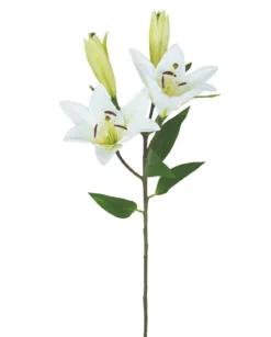 TIGE DE LYS 2 FLEURS 2 BOURGEONS H78CM CREME
