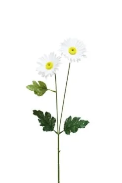 TIGE DE MARGUERITES X2 H.60CM BLANC