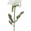 TIGE DE ROSE H.72CM BLANC