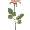TIGE DE ROSE H.72CM ROSE