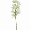 TIGE D ORCHIDEE 10 FLEURS H77CM CREME