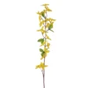 TIGE FORSYTHIA H80CM JAUNE