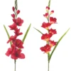 TIGE GLAIEUL ROUGE
