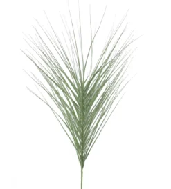 TIGE HERBE H.90CM