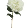 TIGE HORTENSIA GEANT H91CM BLANC