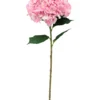 TIGE HORTENSIA GEANT H.91CM ROSE