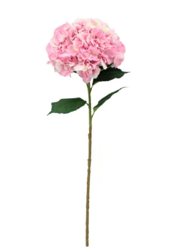 TIGE HORTENSIA GEANT H.91CM ROSE