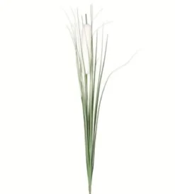TIGE JONC ET HERBE H.82CM BLANC