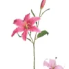 TIGE LYS 1 FLEUR ET 1 BOUTON H.73CM ROSE