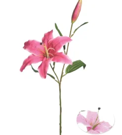 TIGE LYS 1 FLEUR ET 1 BOUTON H.73CM ROSE